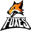Foxes Foxes