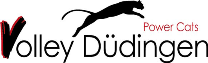TSV Düdingen