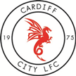 Cardiff City Ladies Cardiff City Ladies