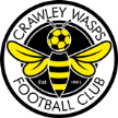 Crawley Wasps Crawley Wasps