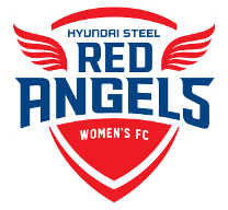 Incheon Hyundai Steel Red Angels
