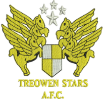 Treowen Stars Treowen Stars