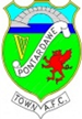 Pontardawe Town
