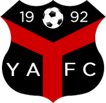 Ynyshir Albions Ynyshir Albions