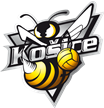 Hornets Košice