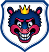 Modrí Draci Košice