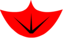 Cyber Goose