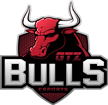 GTZ-Bulls