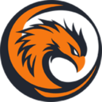 Phoenix Phoenix