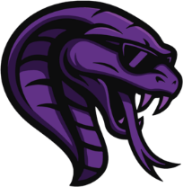 Team Cobra