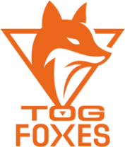 TeamOrangeGaming