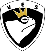 Volda Esport