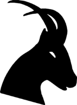 regain regain