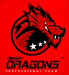 Binary Dragons