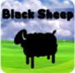 Black Sheep!