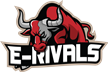 E-RIVALS