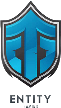 Entity Gaming Entity Gaming