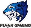 Flash Gaming Flash Gaming