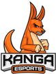 Kanga Esports Kanga Esports