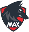 MAX.X