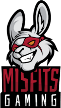 Misfits Academy