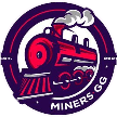 Netshoes Miners