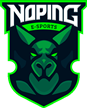 NoPing