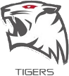 ROX Tigers ROX Tigers
