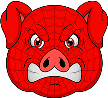 Spider Pigzs Spider Pigzs