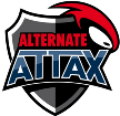 Team ALTERNATE Team ALTERNATE