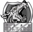 Team DileCom