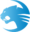 Team ROCCAT
