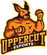 Uppercut Uppercut