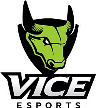 Vice Esports