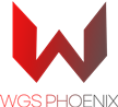 World Game Star Phoenix