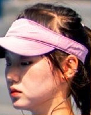 Song Fanshi